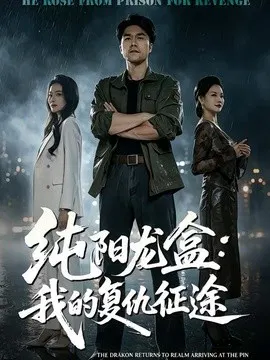 【短剧】纯阳龙盒：我的复仇征途
